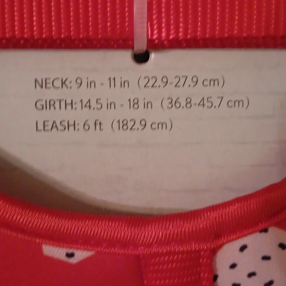Cat Vest Harness and Leash set
